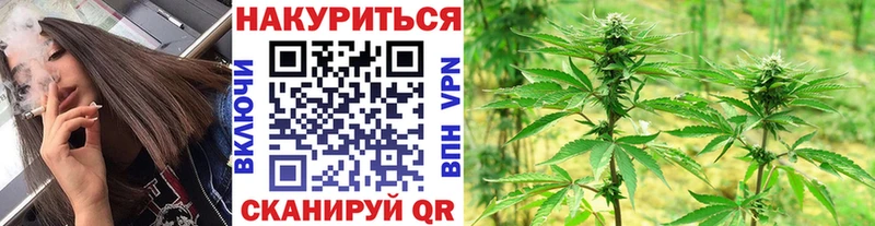 OMG ссылки  Сельцо  Конопля ГИДРОПОН 